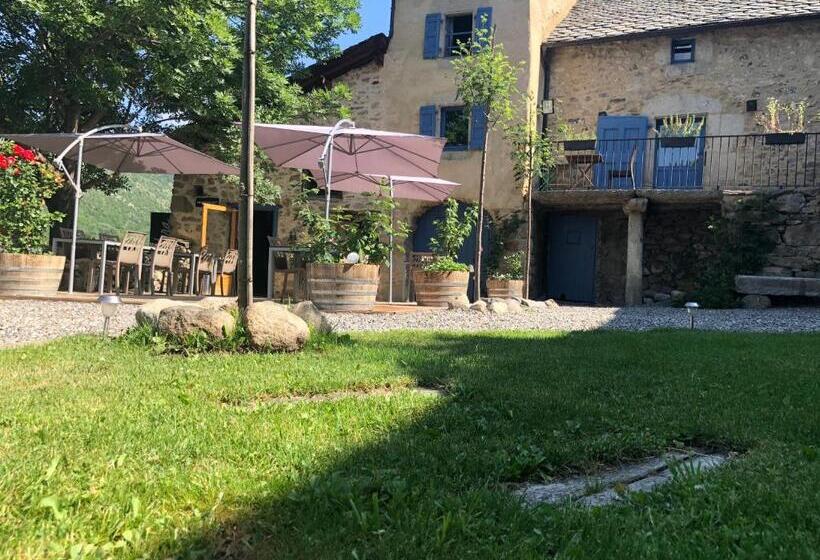 هاستل Cal Xandera