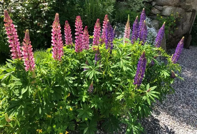 ユースホステル Cal Xandera