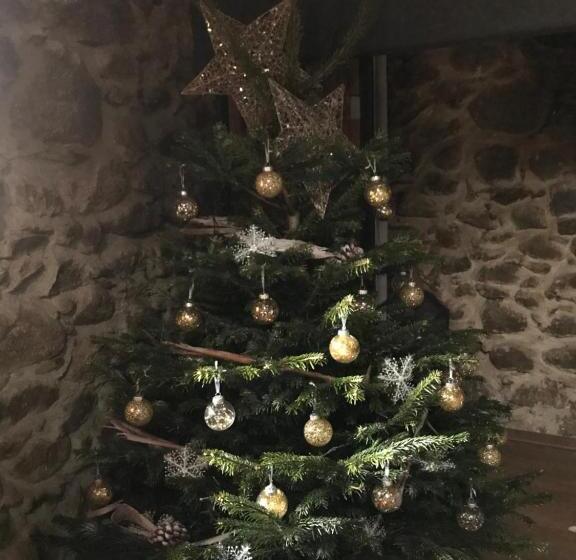 هاستل Cal Xandera