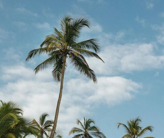 Szálló Masaya Tayrona & Beach Club