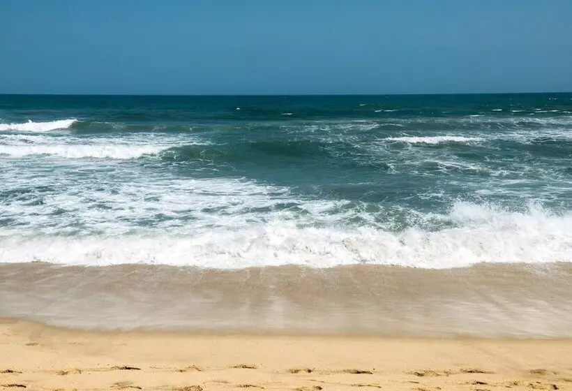 ユースホステル Masaya Tayrona & Beach Club