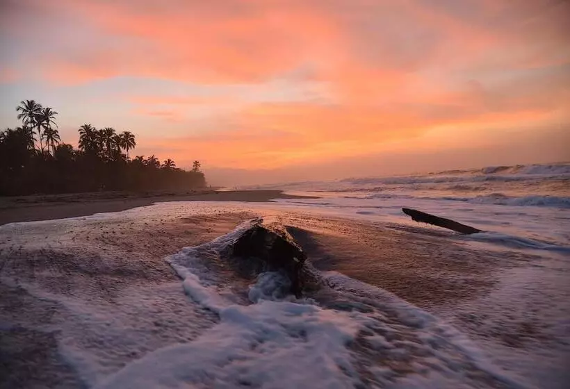 ユースホステル Masaya Tayrona & Beach Club