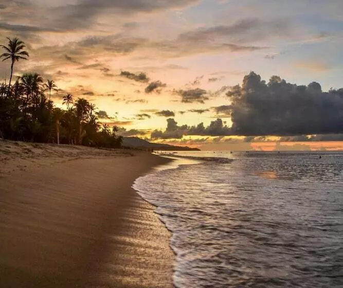 ユースホステル Masaya Tayrona & Beach Club