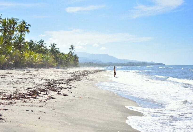 Szálló Masaya Tayrona & Beach Club