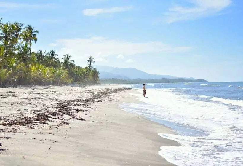 ユースホステル Masaya Tayrona & Beach Club