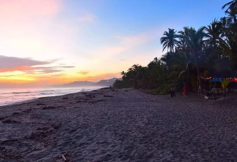 ユースホステル Masaya Tayrona & Beach Club