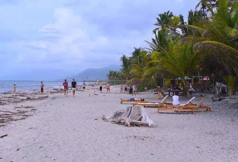 ユースホステル Masaya Tayrona & Beach Club
