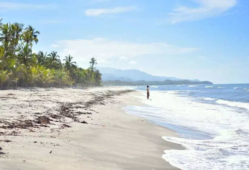 ユースホステル Masaya Tayrona & Beach Club