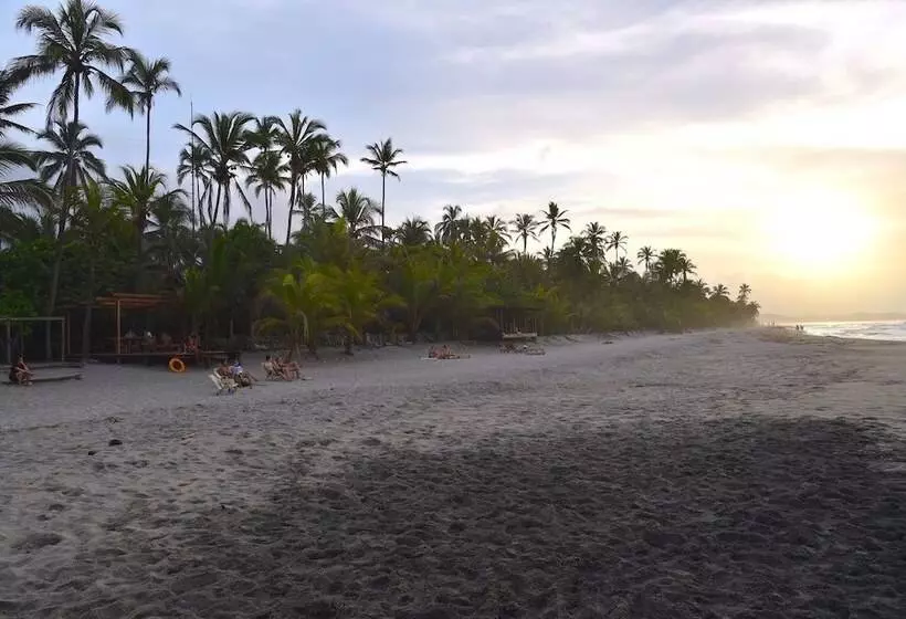ユースホステル Masaya Tayrona & Beach Club