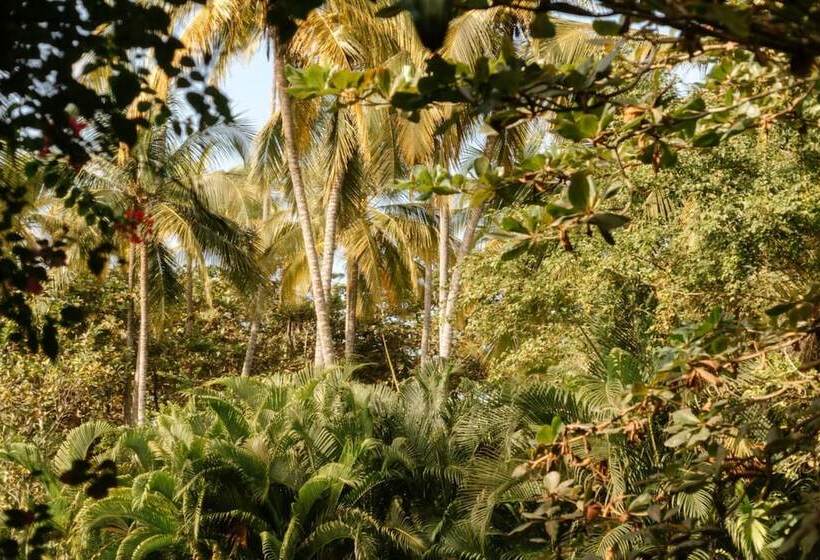 Szálló Masaya Tayrona & Beach Club