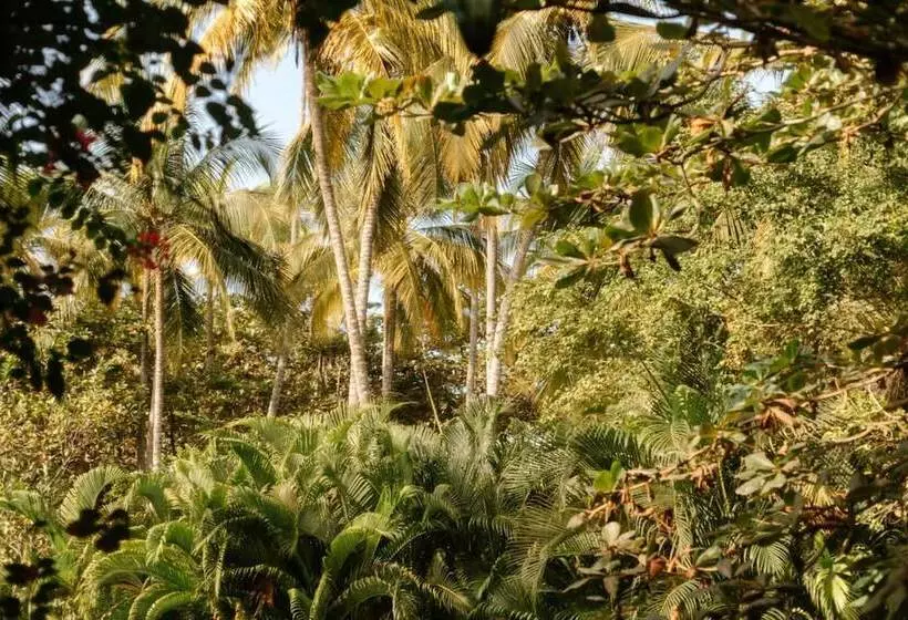 ユースホステル Masaya Tayrona & Beach Club