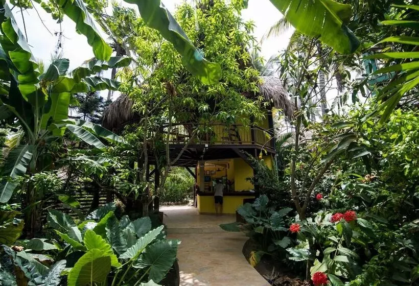 ユースホステル Masaya Tayrona & Beach Club