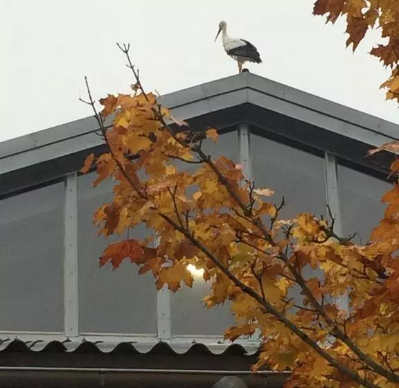 Aamiaismajoitus (B&B) Flyingehus Gårdshotell