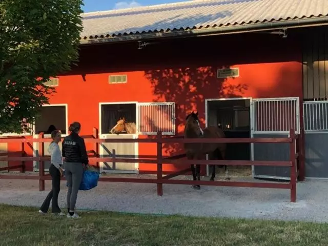 Aamiaismajoitus (B&B) Flyingehus Gårdshotell