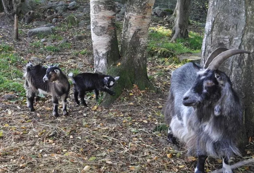 Aamiaismajoitus (B&B) Kullagården