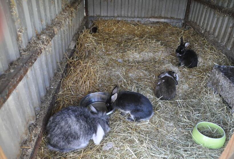 تختخواب و صبحانه Kullagården