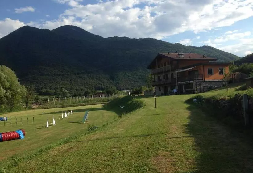 Aamiaismajoitus (B&B) Maso Scricciolo Farm House