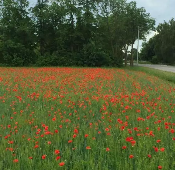 ベッドアンドブレックファースト Silte Siglajvs 147