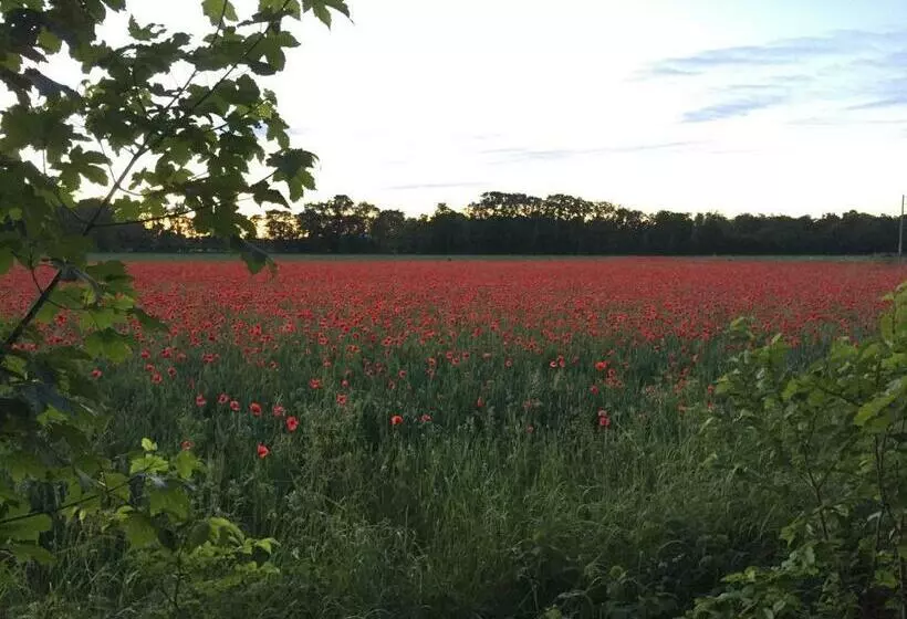 ベッドアンドブレックファースト Silte Siglajvs 147