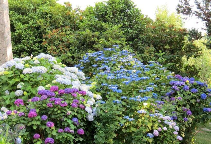 Bed and Breakfast Villa Morissolina