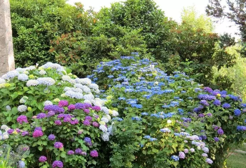 ベッドアンドブレックファースト Villa Morissolina