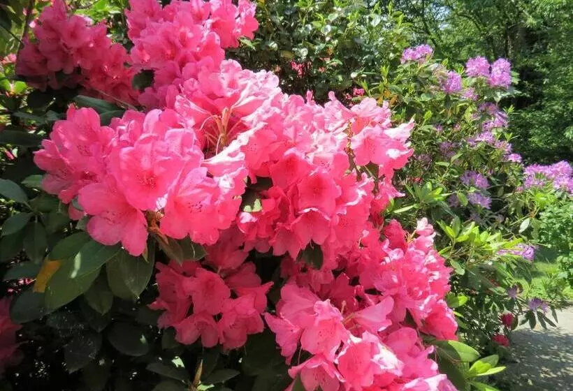 ベッドアンドブレックファースト Villa Morissolina