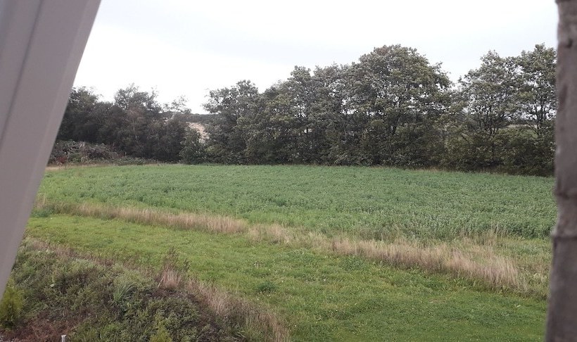 Granly Bed And Breakfast