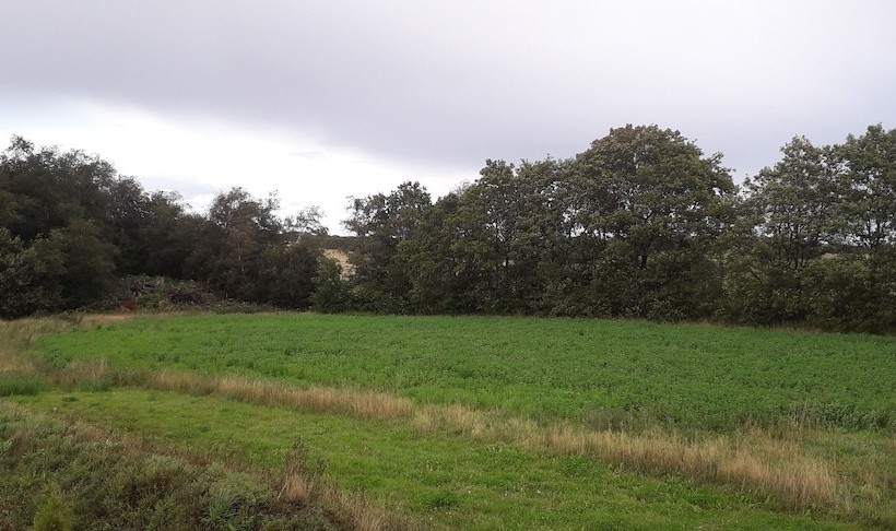 Granly Bed And Breakfast