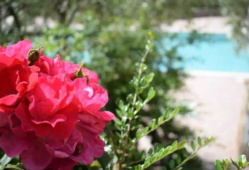 ホテル Agriturismo Colle Mura