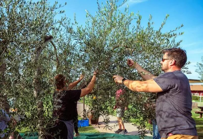 ホテル Agriturismo Pompilia