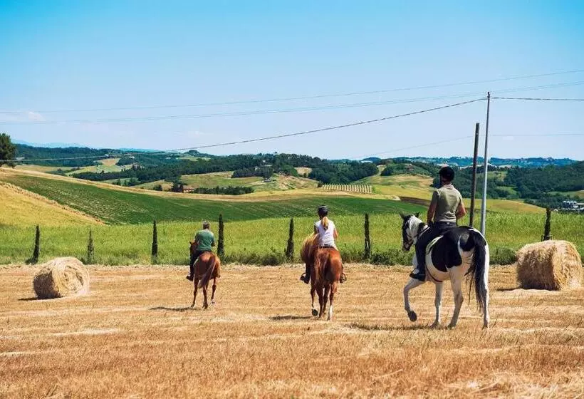 ホテル Agriturismo Pompilia