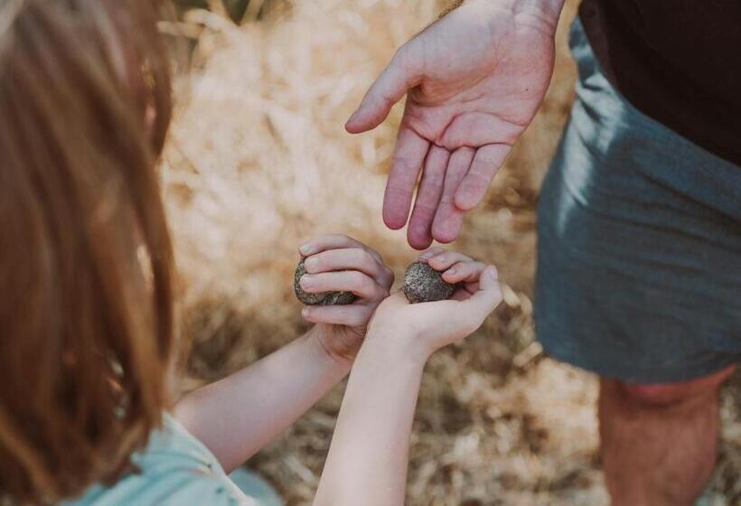 酒店 Agriturismo Pompilia