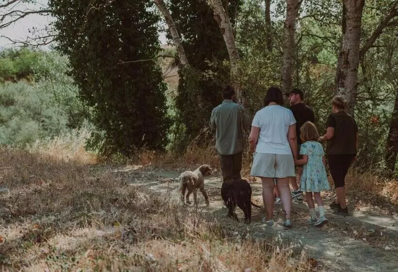 ホテル Agriturismo Pompilia