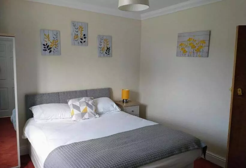 ホテル Llanina Arms