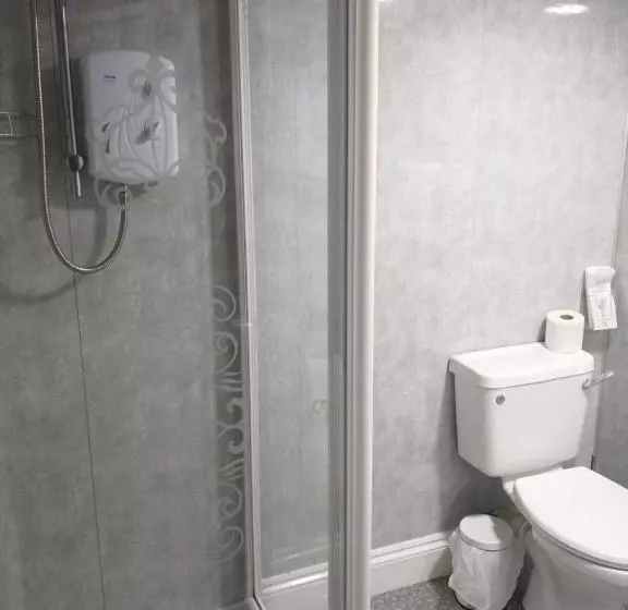 ホテル Llanina Arms