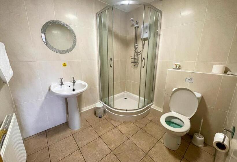 ホテル Llanina Arms