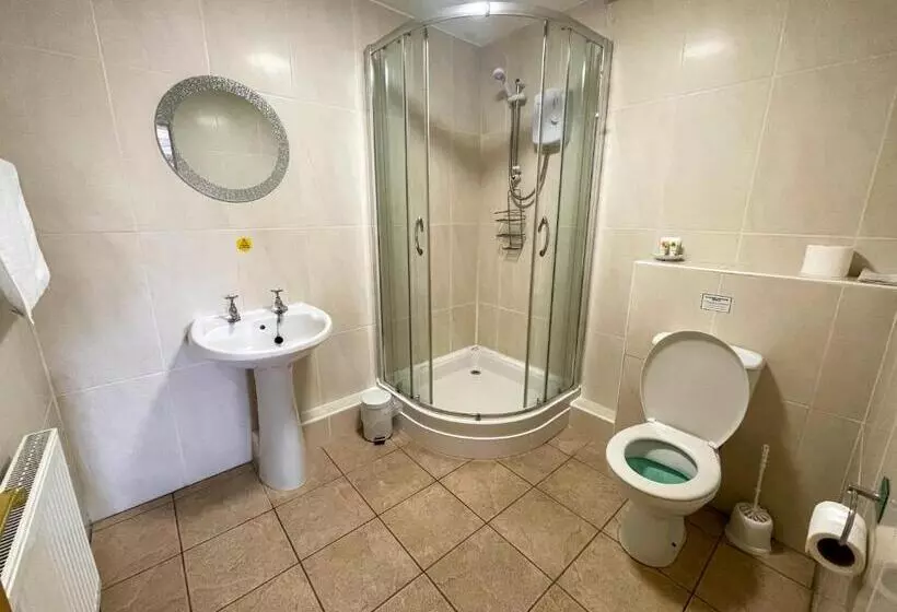 ホテル Llanina Arms