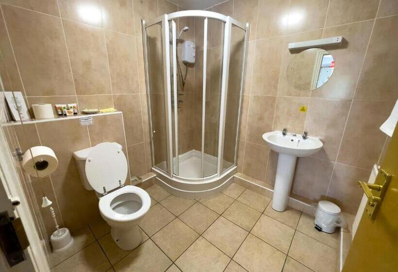 ホテル Llanina Arms