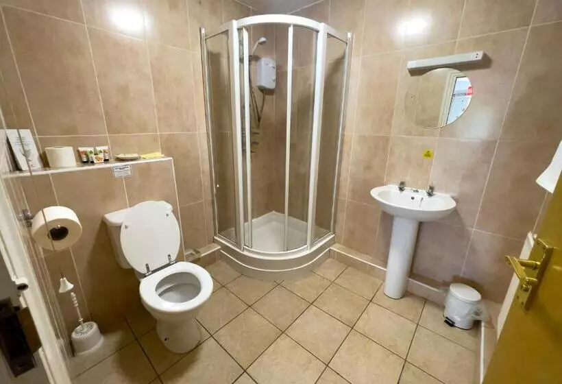 ホテル Llanina Arms