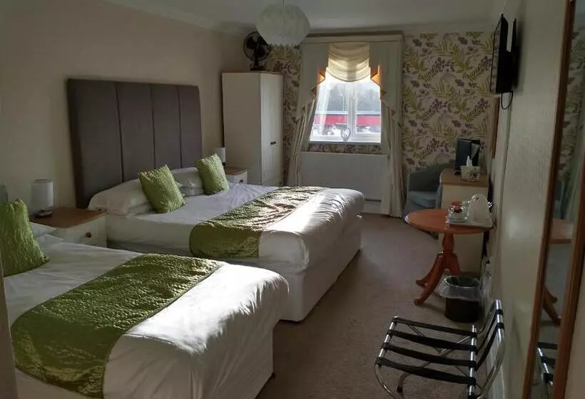 ホテル Llanina Arms