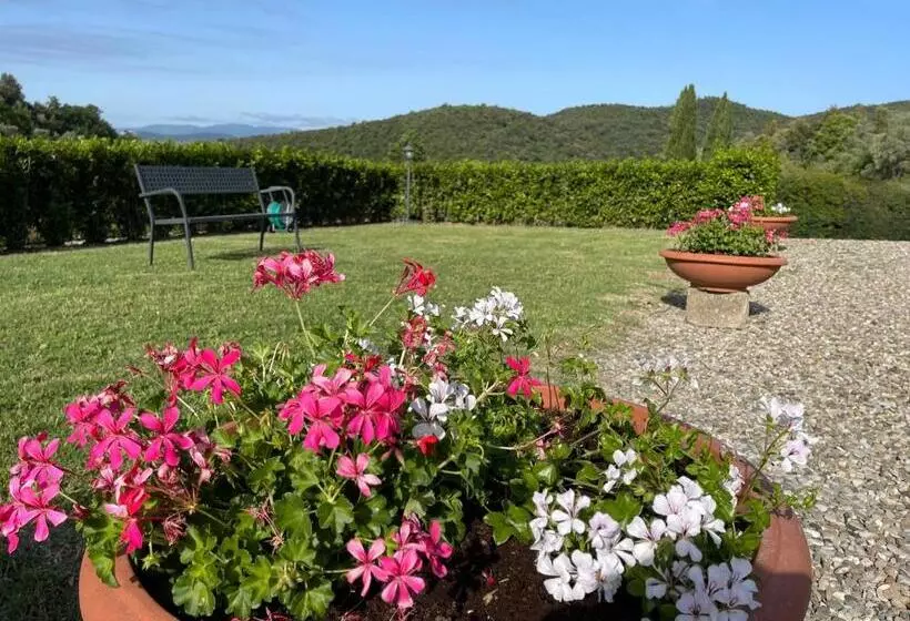 ホテル Tenuta Montemassi Podere Montauzzo