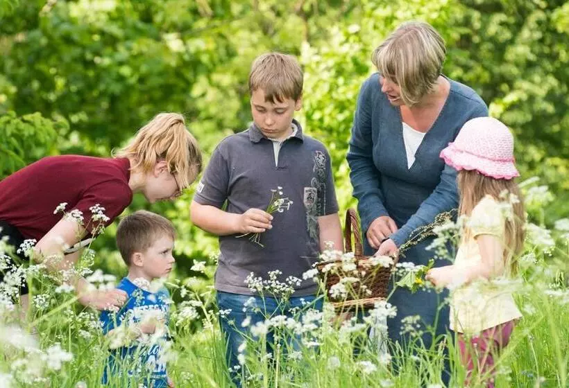 Majatalo Kräuterbaude