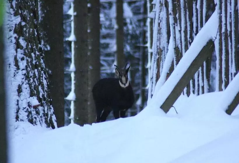 Majatalo Kräuterbaude