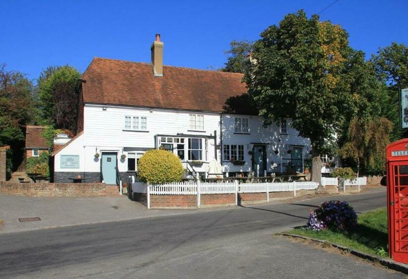 فندق صغير Rose And Crown