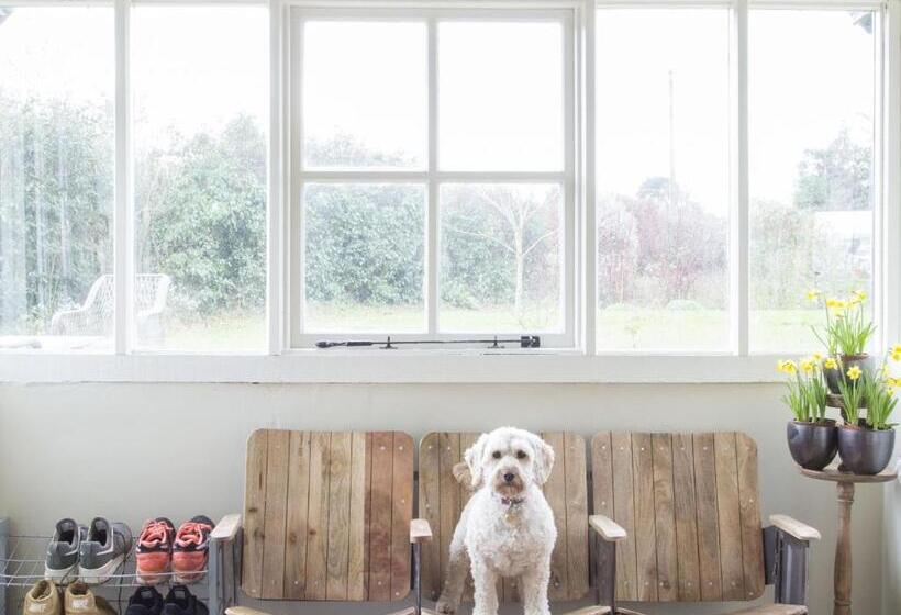 Forthay Bed And Breakfast