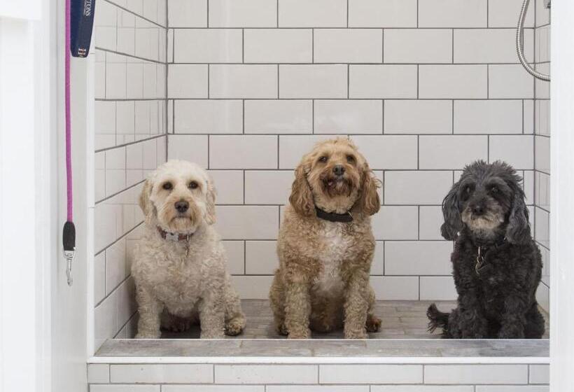 Forthay Bed And Breakfast