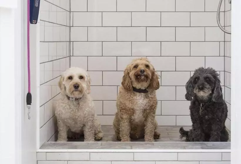 Forthay Bed And Breakfast