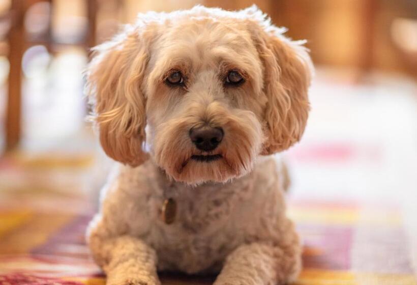 Forthay Bed And Breakfast