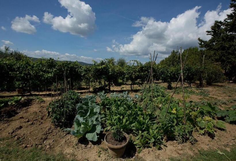 فندق Agriturismo Podere Acqualoreto