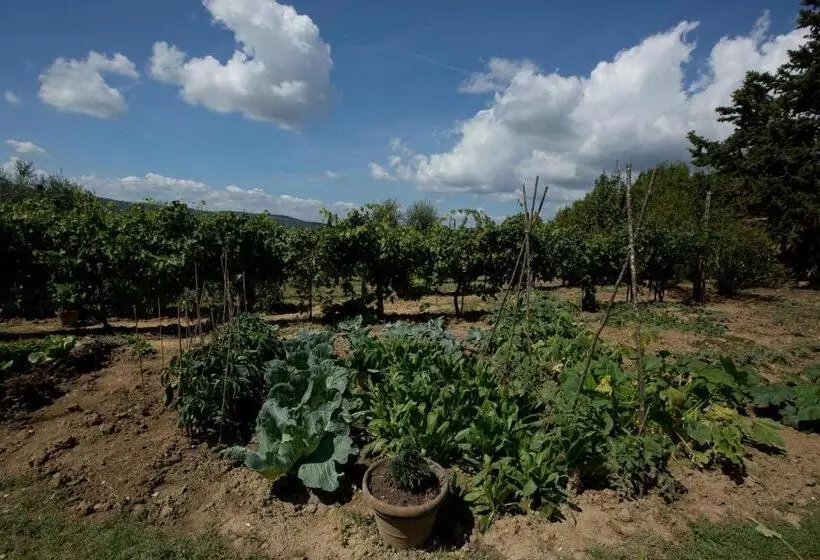 Hotelli Agriturismo Podere Acqualoreto